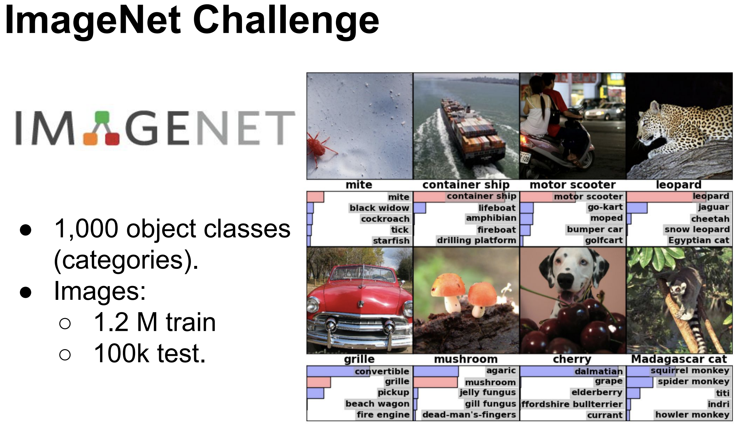 ImageNet challenge