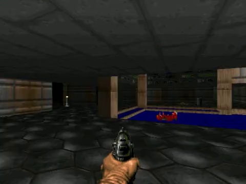 A real VizDoom gameplay frame spliced into the training recording